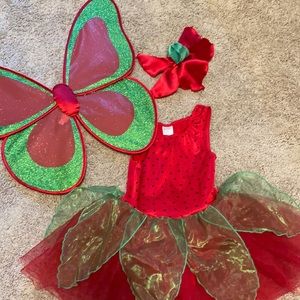 Gymboree strawberry/fairy costume and Pottery Barn Kids strawberry bag.